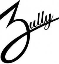 Logo empresa: zully