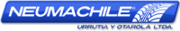 Logo empresa: neumachile