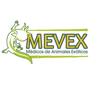 Logo empresa: veterinaria mevex