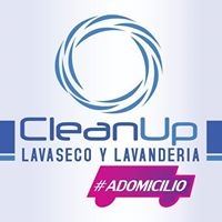 Logo empresa: cleanup