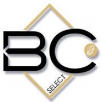 Logo empresa: bc select (vitacura)