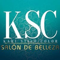 Logo empresa: salon kari stilo color
