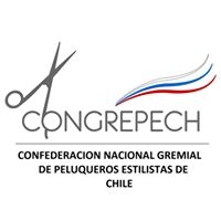 Logo empresa: congrepech