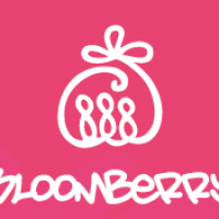 Logo empresa: bloomberry chile alimentos especiales