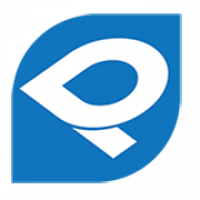 Logo empresa: pad systems