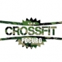 Logo empresa: crossfit pocuro
