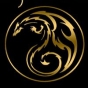 Logo empresa: dragon dorado, deportes de contacto