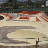 Logo empresa: skatepark