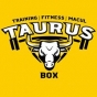 Logo empresa: taurus box