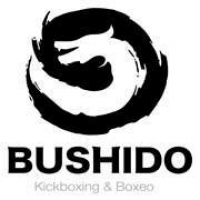 Logo empresa: team bushido