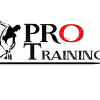 Logo empresa: pro training