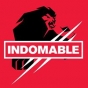 Logo empresa: indomable