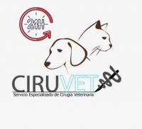 Logo empresa: ciruvet nuñoa (clínica veterinaria)