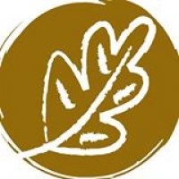 Logo empresa: dellanatura (providencia)